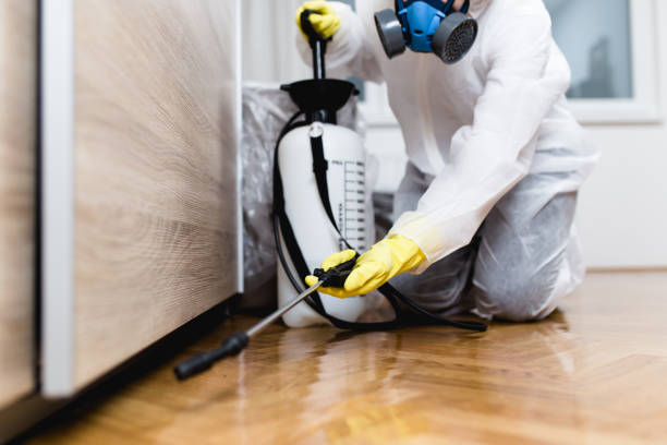 Best Emergency Pest Control  in Butner, NC