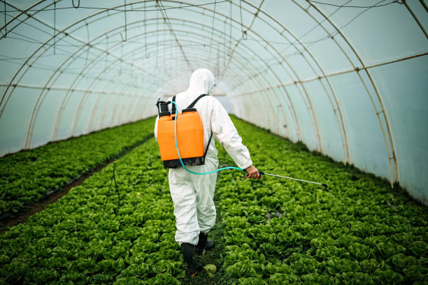 Best Pest Removal Services  in Butner, NC