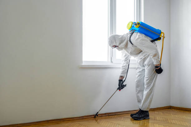 Trusted Butner, NC Pest Control Experts