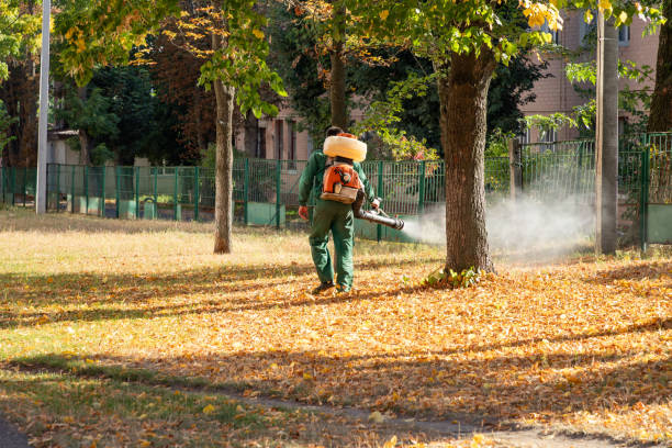 Best Flea Control Services  in Butner, NC