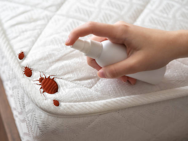 Best Best Pest Control Companies  in Butner, NC
