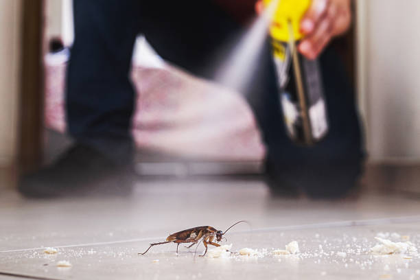 Best Spider Control Near Me  in Butner, NC