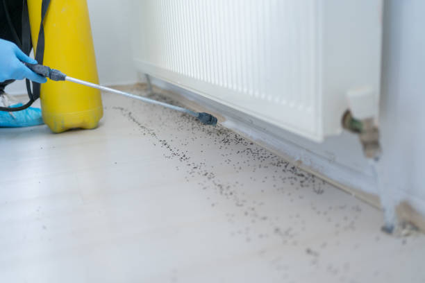 Best Exterminator Services  in Butner, NC