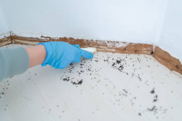 Best Pest Control for Businesses  in Butner, NC