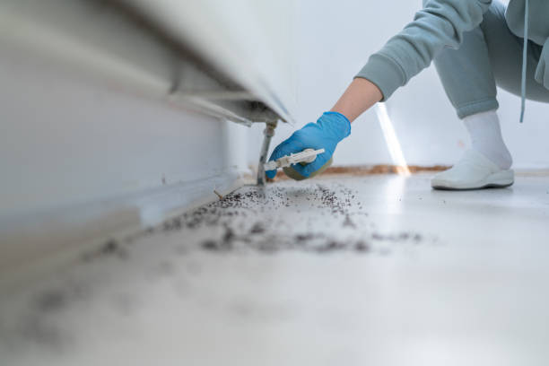 Best Bed Bug Extermination  in Butner, NC