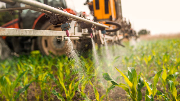 Best Pest Control for Homes  in Butner, NC